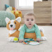 Fisher Price HJW10 Attīstoša rotaļlieta